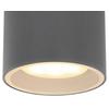 Außendeckenleuchte Alcala max. 11 Watt - Klar/Anthrazit, Basics, Glas/Metall (10,8/9,6cm) - Globo