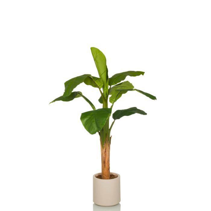Umetna Rastlina Banana I - barve hrasta/zelena, Moderno, umetna masa (60/150/60cm) - MID.YOU