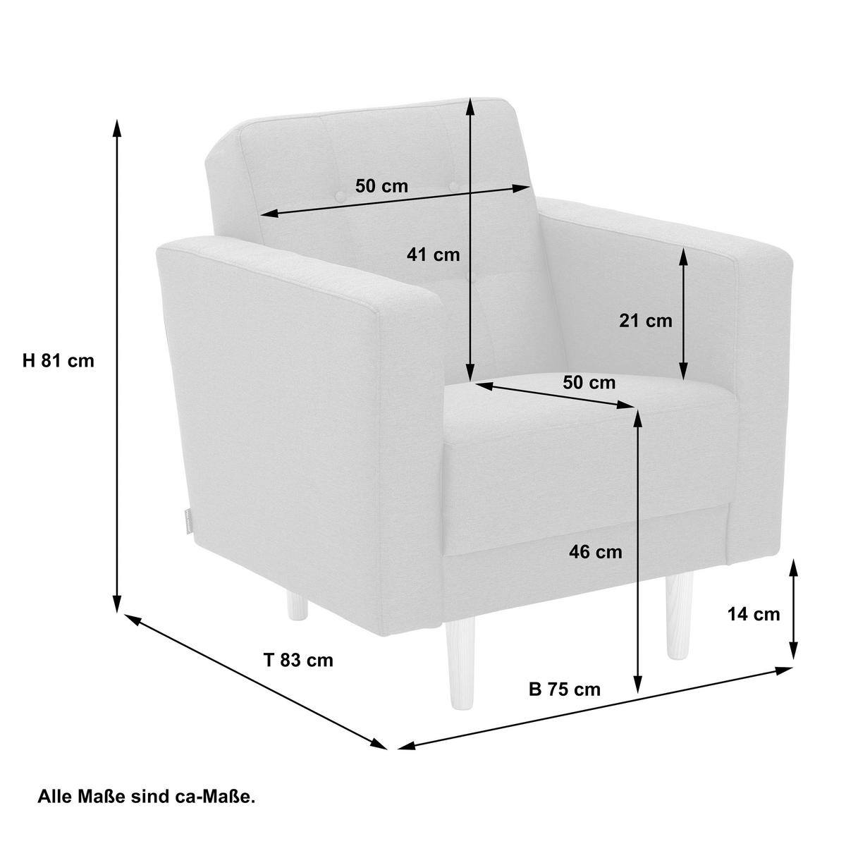 Polstersessel Jasmin Hellgrau Flachgewebe - Eschefarben/Hellgrau, MODERN, Holz/Textil (75/81/83cm) - Max Winzer