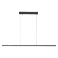 LAMPA WISZĄCA LED 2598-13 ADRIANA - antracytowy, Design, tworzywo sztuczne/metal (179/55/150cm) - Paul Neuhaus