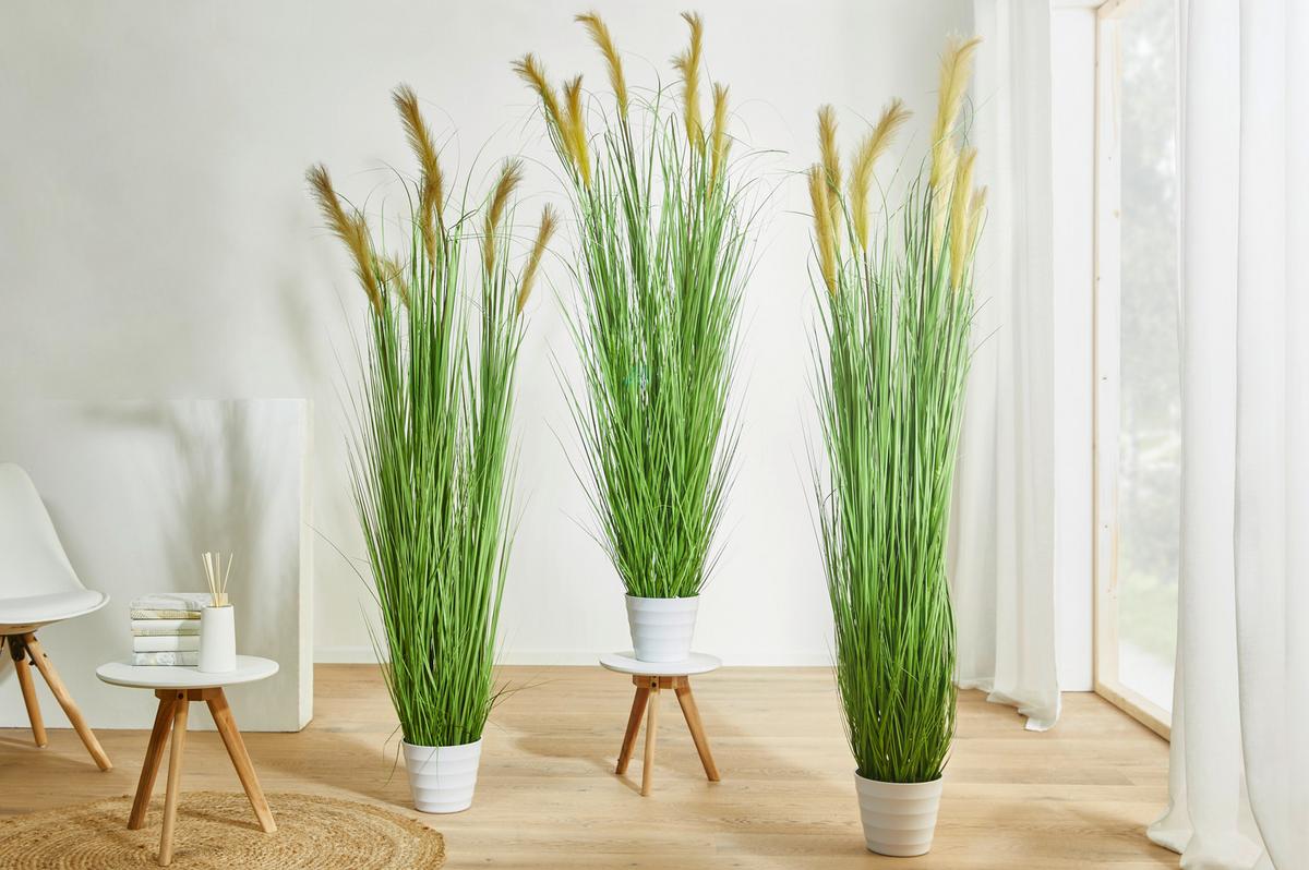 Plantă artificială GRASBUSCH I –JUB- - alb/verde, Natur, plastic (180cm) - Modern Living