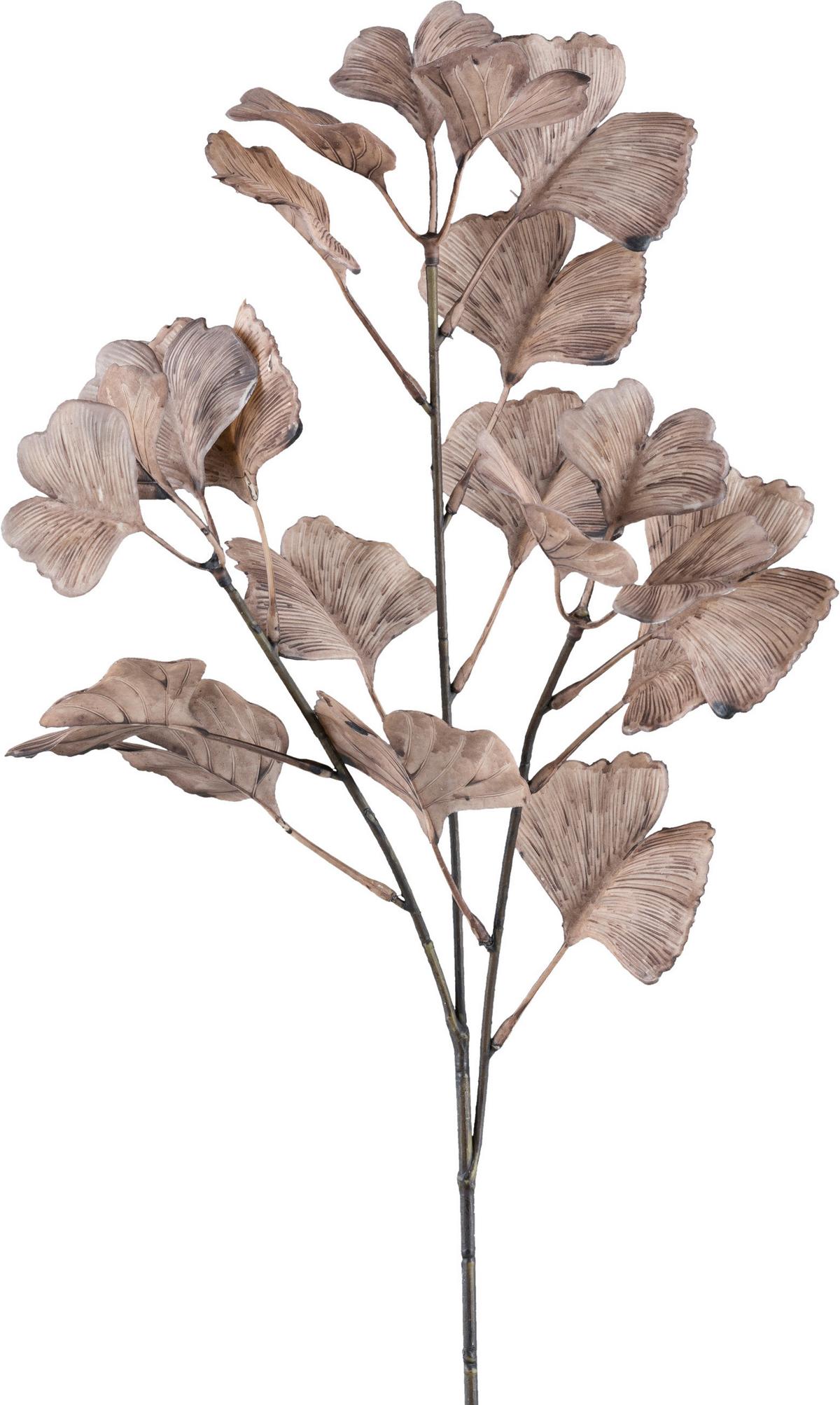 Dekozweig Ginkozweig I Braun - Braun, KONVENTIONELL, Kunststoff (62cm) - Modern Living