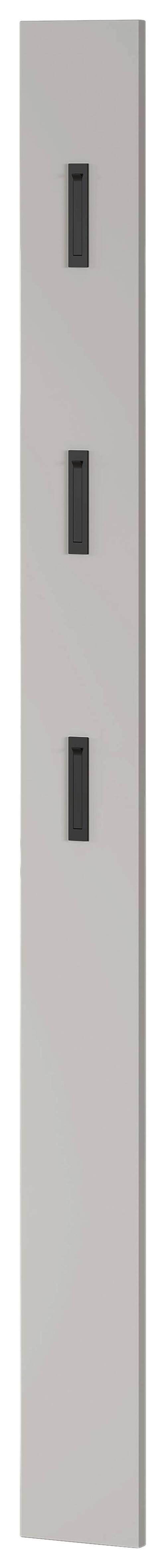 Garderobenpaneel in Kaschmir - Kaschmir, Modern, Holzwerkstoff (15/170/3cm) - Mömax