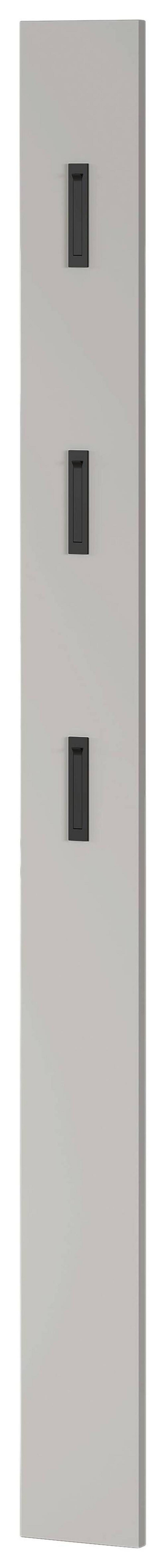 Garderobenpaneel in Kaschmir - Kaschmir, Modern, Holzwerkstoff (15/170/3cm) - Mömax