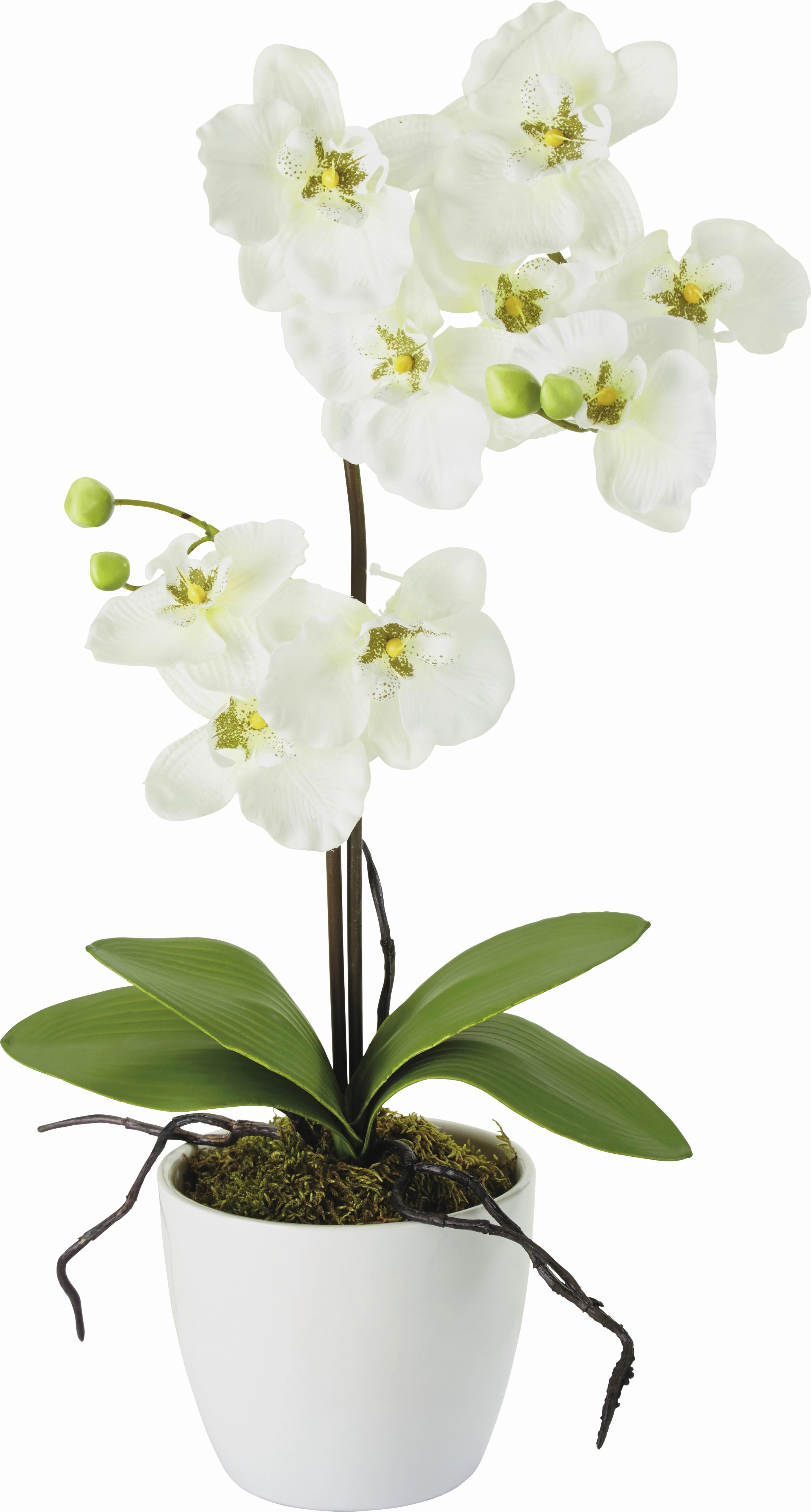 Kunstpflanze Marie in diversen Farben - Weiss/Pink, Kunststoff/Textil (11/60cm) - Modern Living