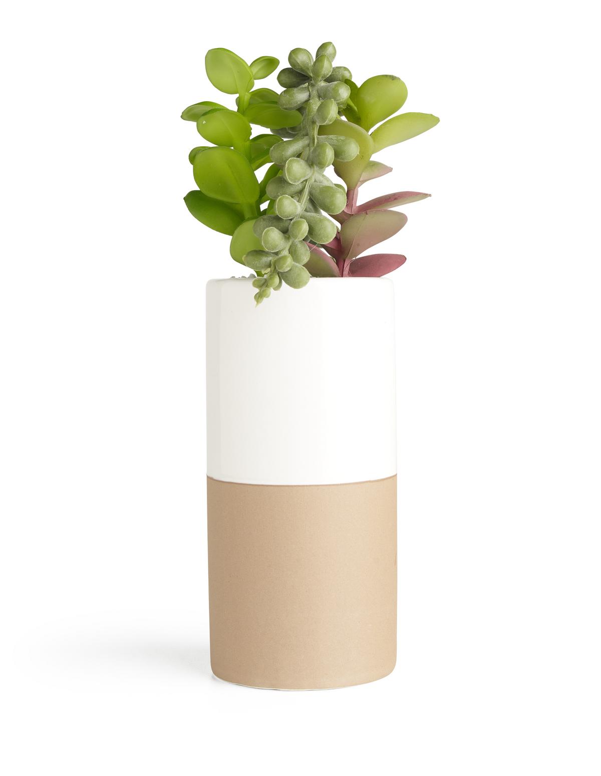 Műnövény Sukkulente - sárga/pink, műanyag/fém (15,5/19cm) - Modern Living
