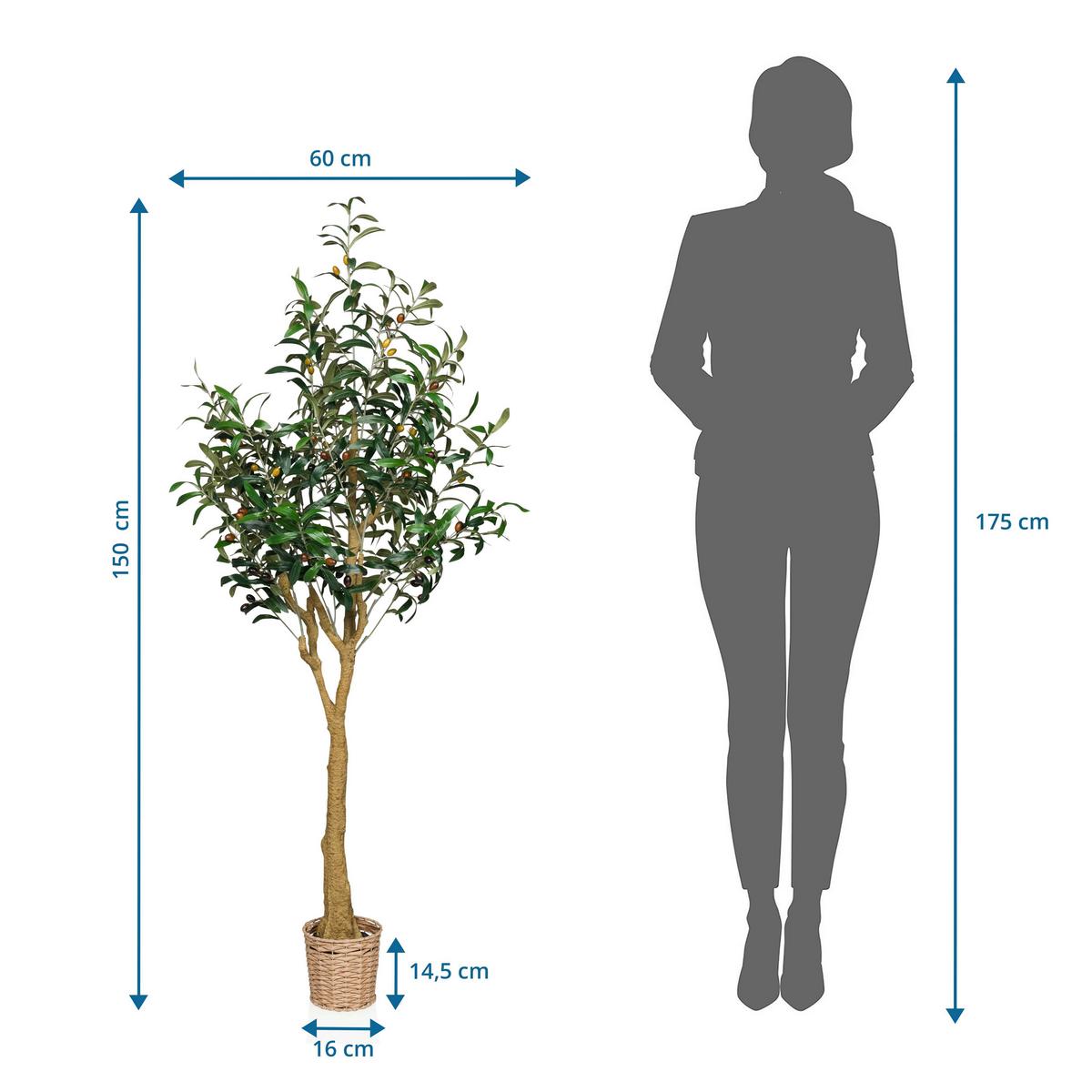 Umetna Rastlina Olive Ii - svetlo rjava/zelena, Moderno, umetna masa (60/150/60cm) - MID.YOU