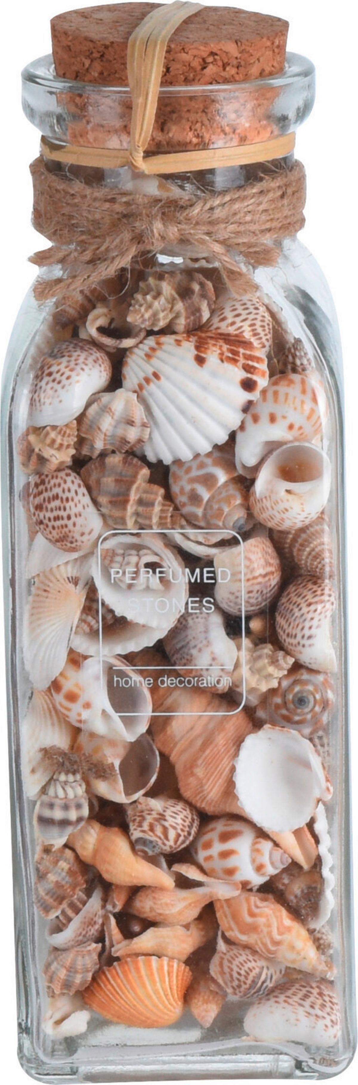 Dekor Kagyló Shellby - természetes anyagok (6/6/19cm)