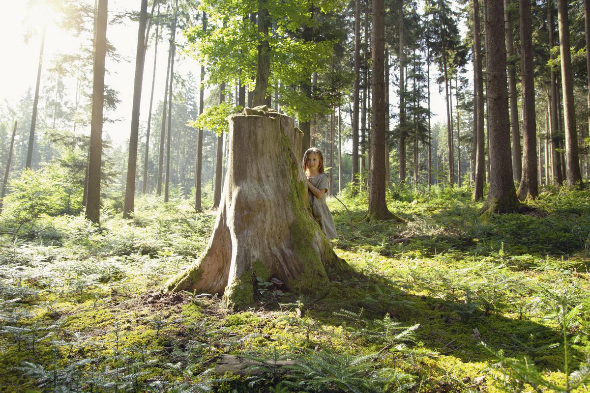 Bettwäsche Bio-Eva in Olivgrün ca. 135x200cm - Olivgrün, MODERN, Textil (135/200cm) - ecoTree