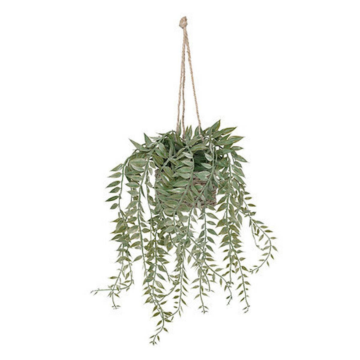 Plantă decorativă Patri - Basics (14/47/14cm)