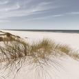 Glasbild Coastal Dune, ca. 20x20x1,7cm - Multicolor, MODERN, Glas (20/20/1,70cm) - MÖMAX modern living