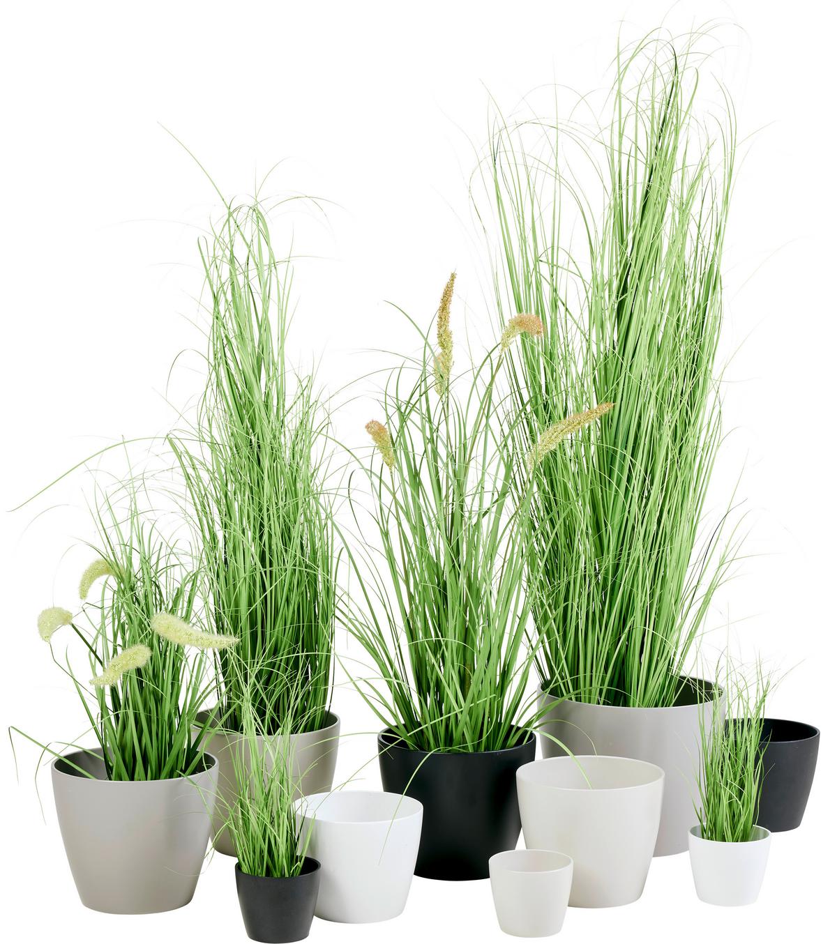 Mască pentru ghiveci LUISA -BASED - alb/negru, Modern, ceramică (12/10cm) - Best Price