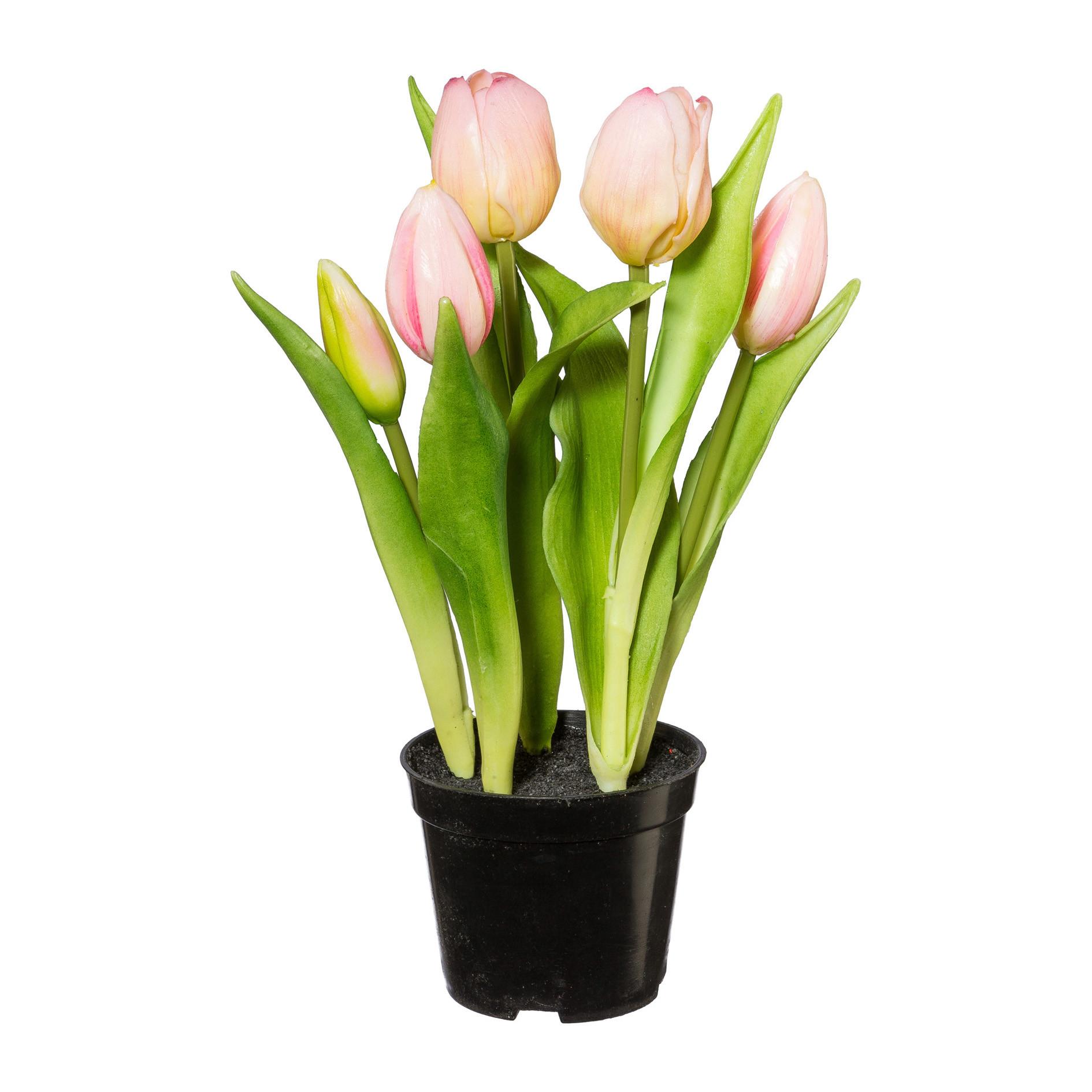 Kunstpflanze Tulpe I in Grün/Rosa - Schwarz/Rosa, Basics, Kunststoff (25cm) - Modern Living