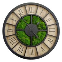 Wanduhr CL Schwarz/Eichefarben/Dunkelgrün - Dunkelgrün/Eichefarben, Basics, Holz/Kunststoff (57cm)