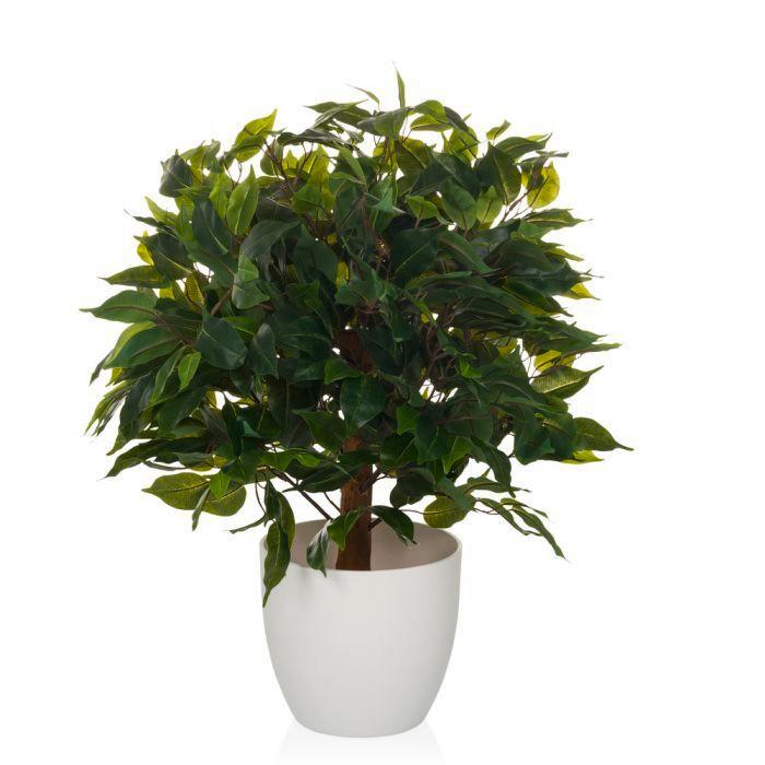 Umetna Rastlina Ficus I - zelena/bela, Moderno, umetna masa (40/65/40cm) - MID.YOU