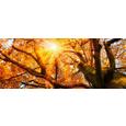 Glasbild Glorious, ca. 50x125x2cm - Multicolor, MODERN, Glas (50/125/2cm) - MÖMAX modern living
