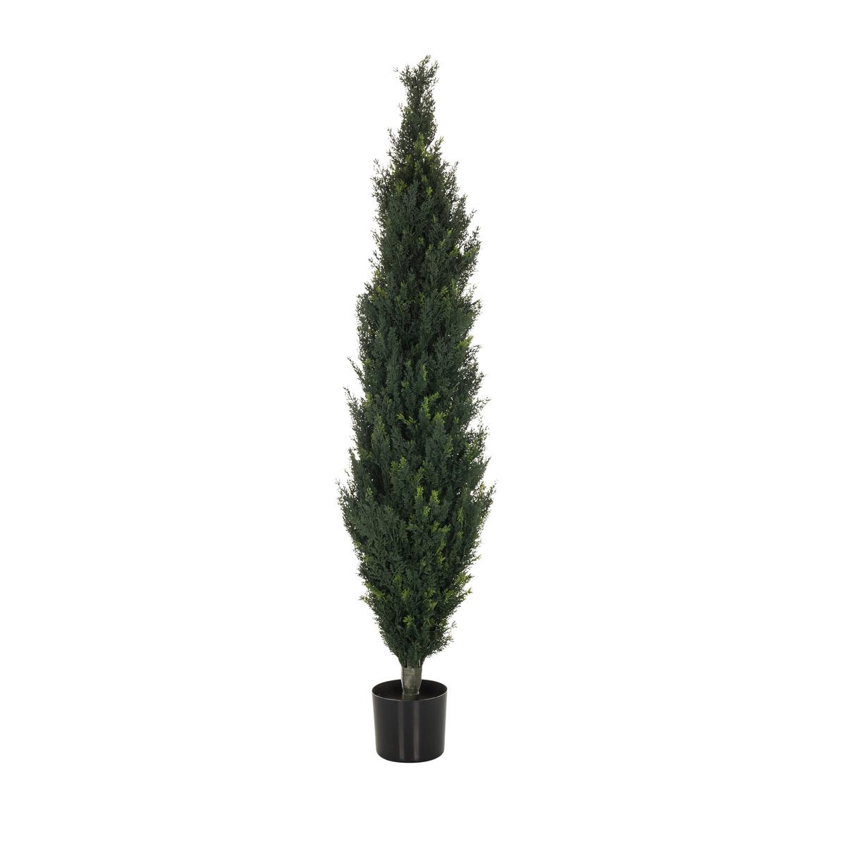 Umetna Rastlina Cedrus - črna/zelena, Basics, umetna masa (35/152/35cm) - MID.YOU