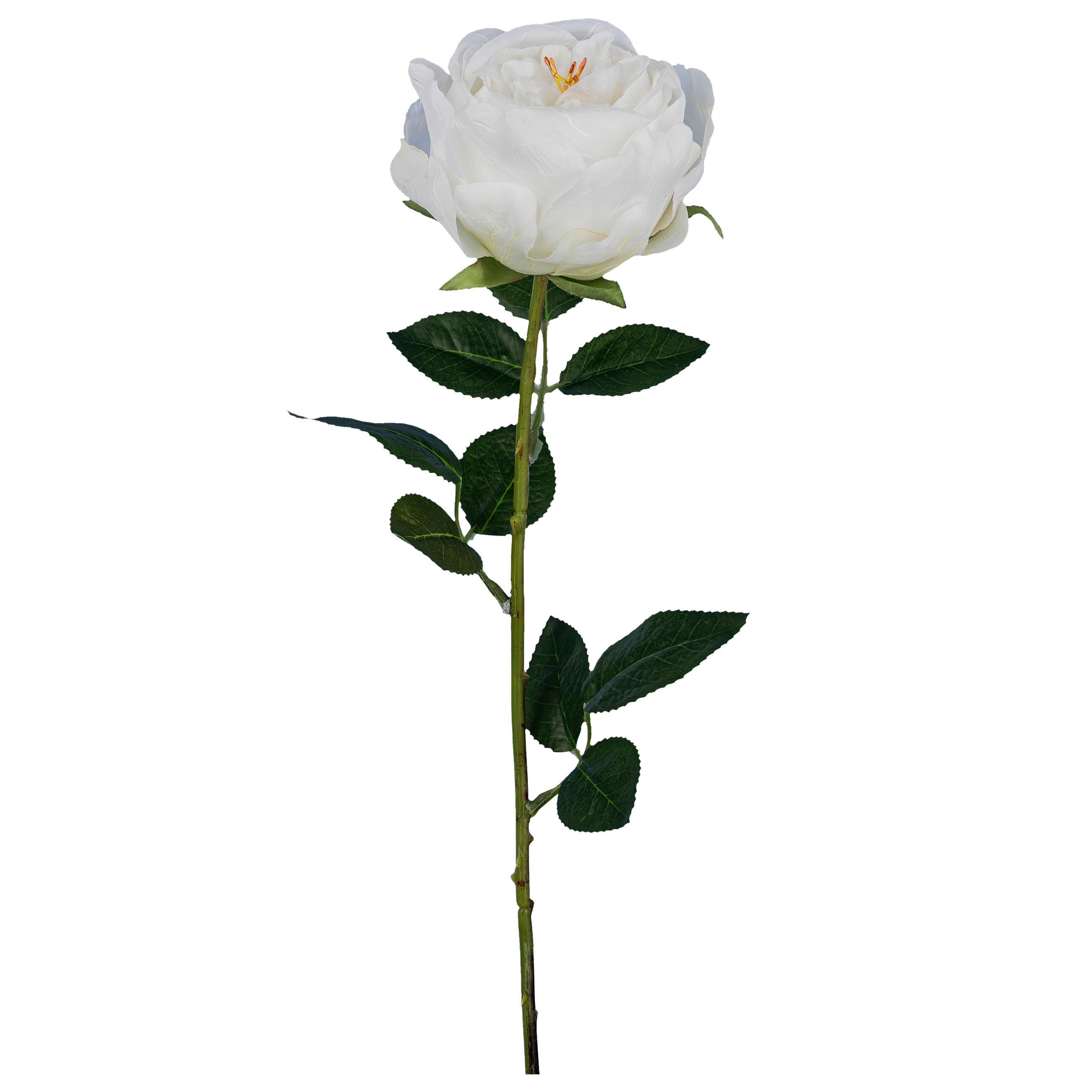 Dekozweig Englische Rose I Weiß/Braun - Weiß/Braun, ROMANTIK / LANDHAUS, Kunststoff (63cm) - Mömax