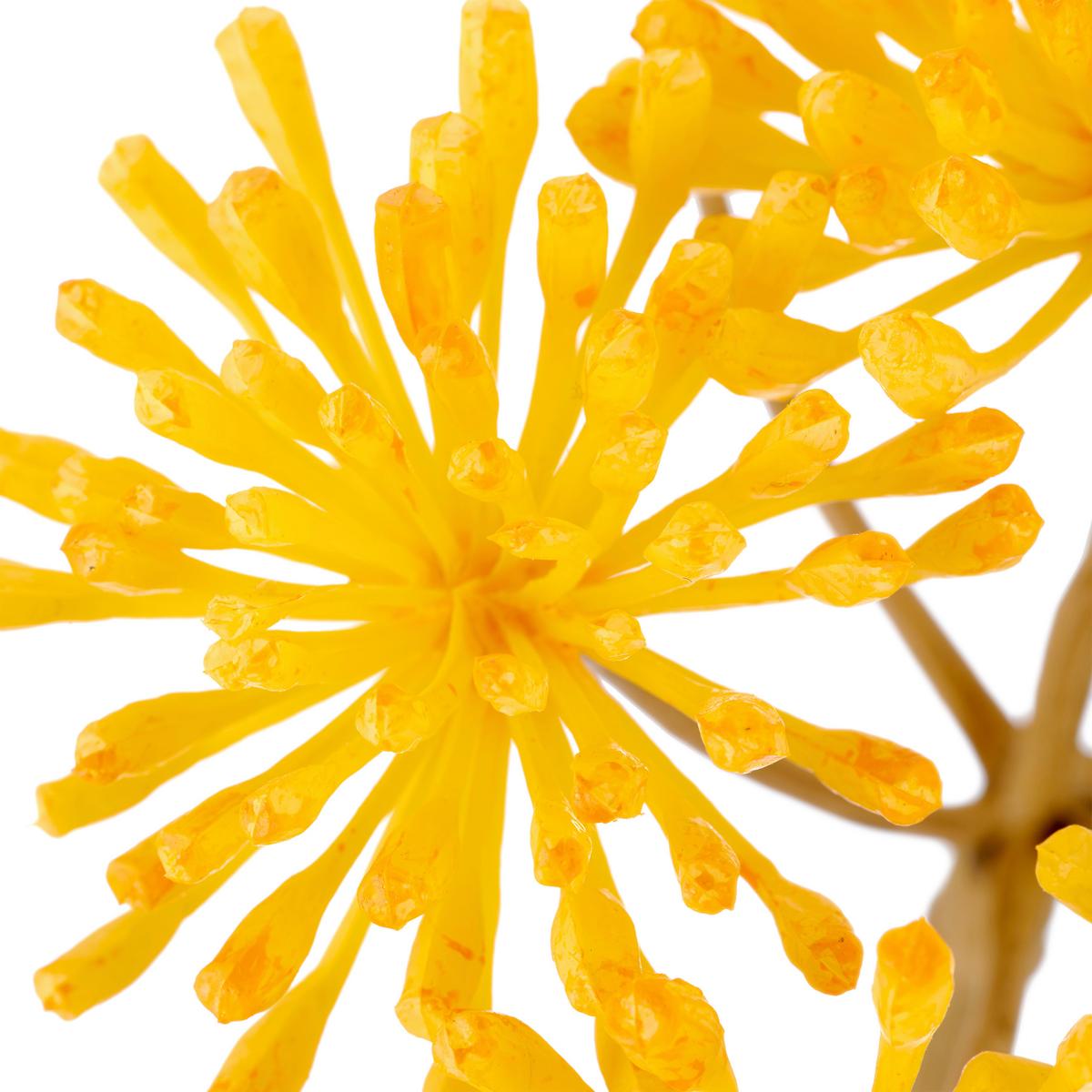 Kunstblume Heracleum I Gelb ca. 75cm - Gelb/Creme, Basics, Kunststoff/Textil (75cm) - Mömax