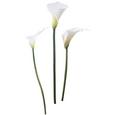 Dekosticker Calla in Weiß - Weiß, Kunststoff (50/70cm) - MÖMAX modern living
