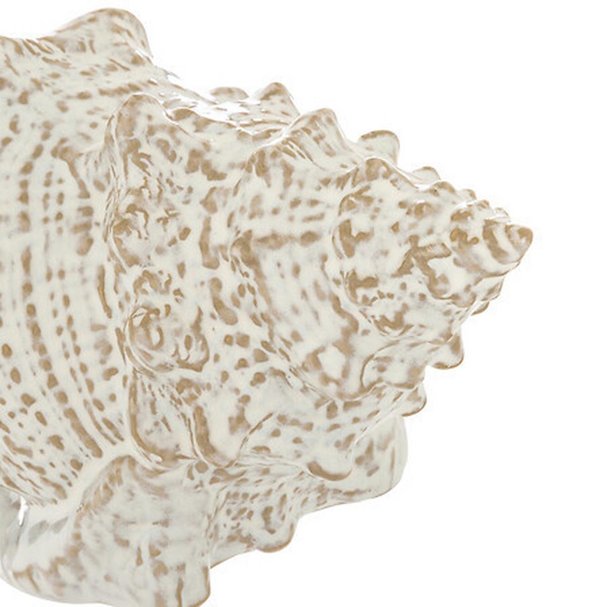 Scoică decorativă Oceane - Basics (20/12/10,5cm)