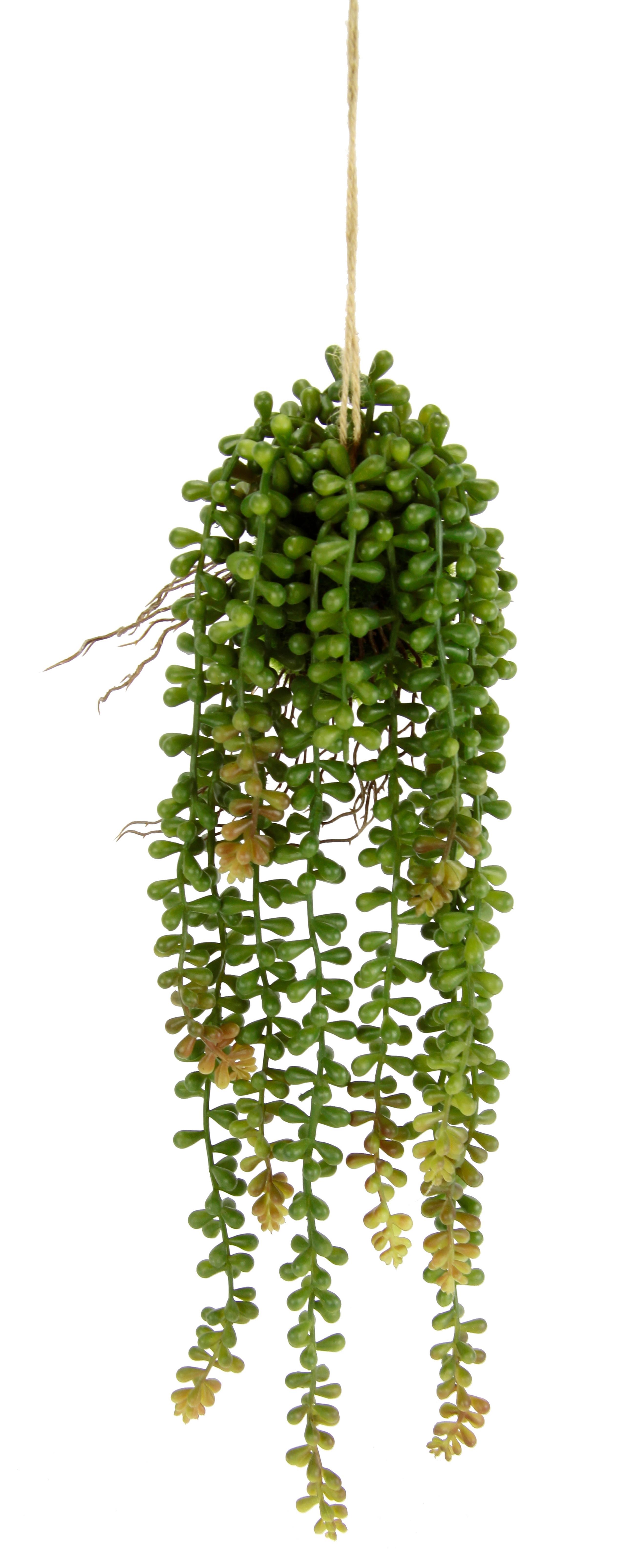 SZTUCZNA ROŚLINA SENECIOHÄNGER / AMBIA - zielony, Basics (15/40/15cm)