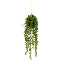 SZTUCZNA ROŚLINA SENECIOHÄNGER / AMBIA - zielony, Basics (15/40/15cm)