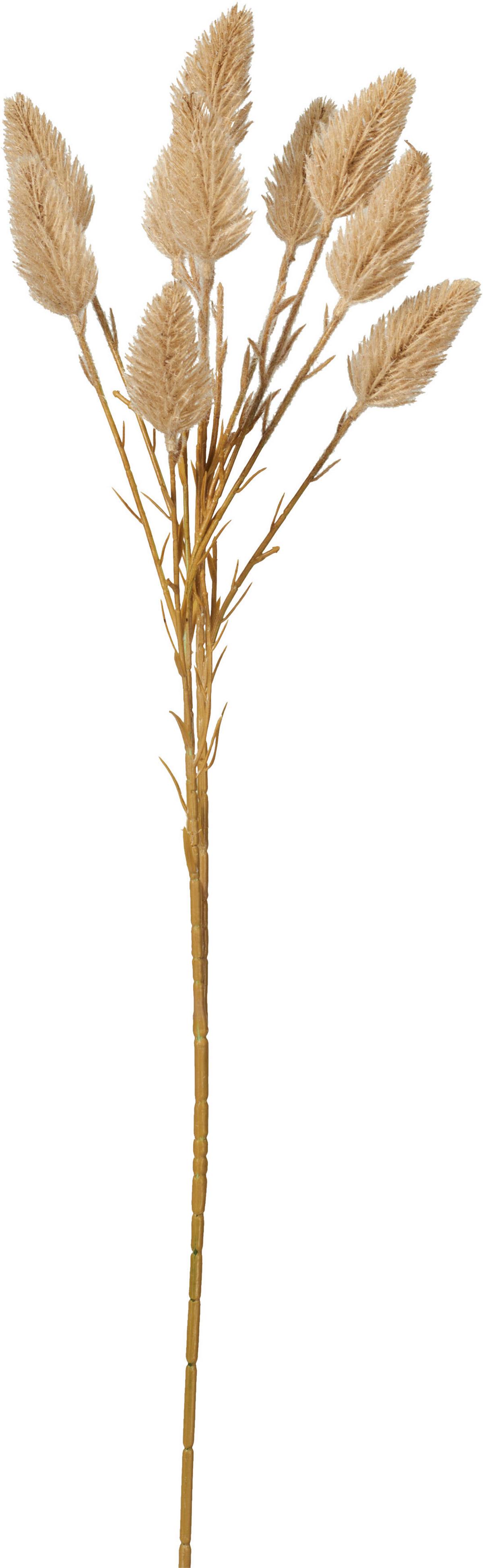Kunstpflanze Pampasgras diverse Farben - Weiss/Dunkelbraun, Lifestyle, Kunststoff/Metall (25/20/70cm) - Mömax