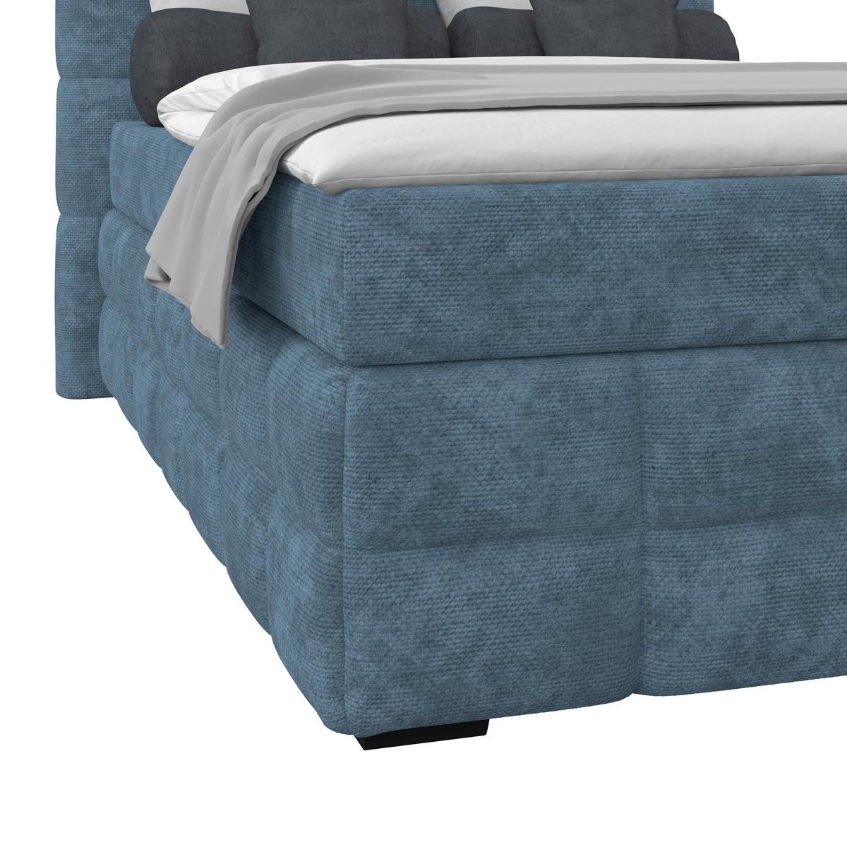 PAT BOX VEGA - albastru/alb, Trend, lemn/textil (120/200cm) - Modern Living