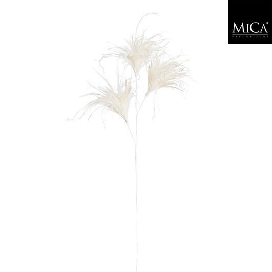 Okrasna Vejica Pampaška Trava - Moderno (75/20/3cm) - Mömax