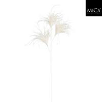 Okrasna Vejica Pampaška Trava - Moderno (75/20/3cm) - Mömax
