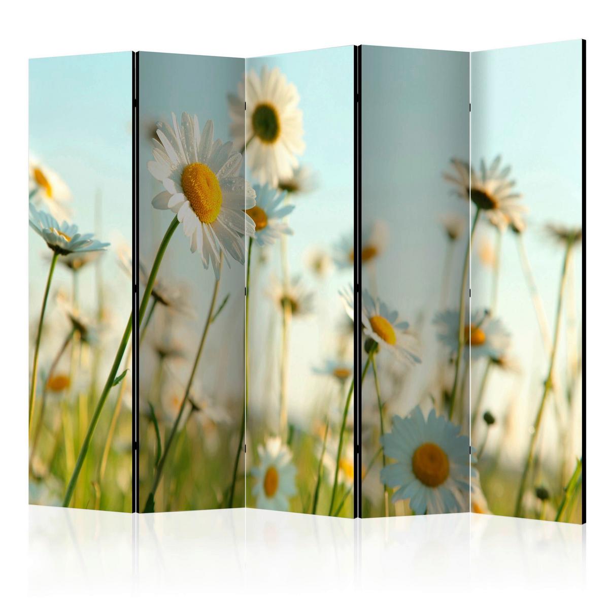 Paravan Daisies I, 5-Delni, Dvostranski - pastelno modra/zelena, Basics, tekstil/les (225/172/3cm) - artgeist