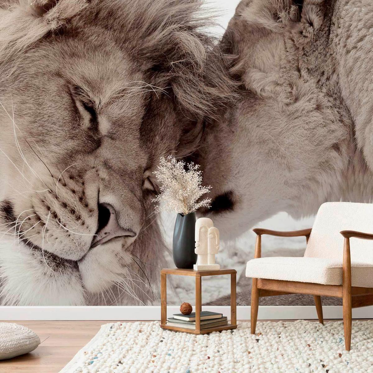 Fototapeta Lion Tenderness, 200x140cm - bela/bež, Trendi, tekstil (200/140cm) - artgeist