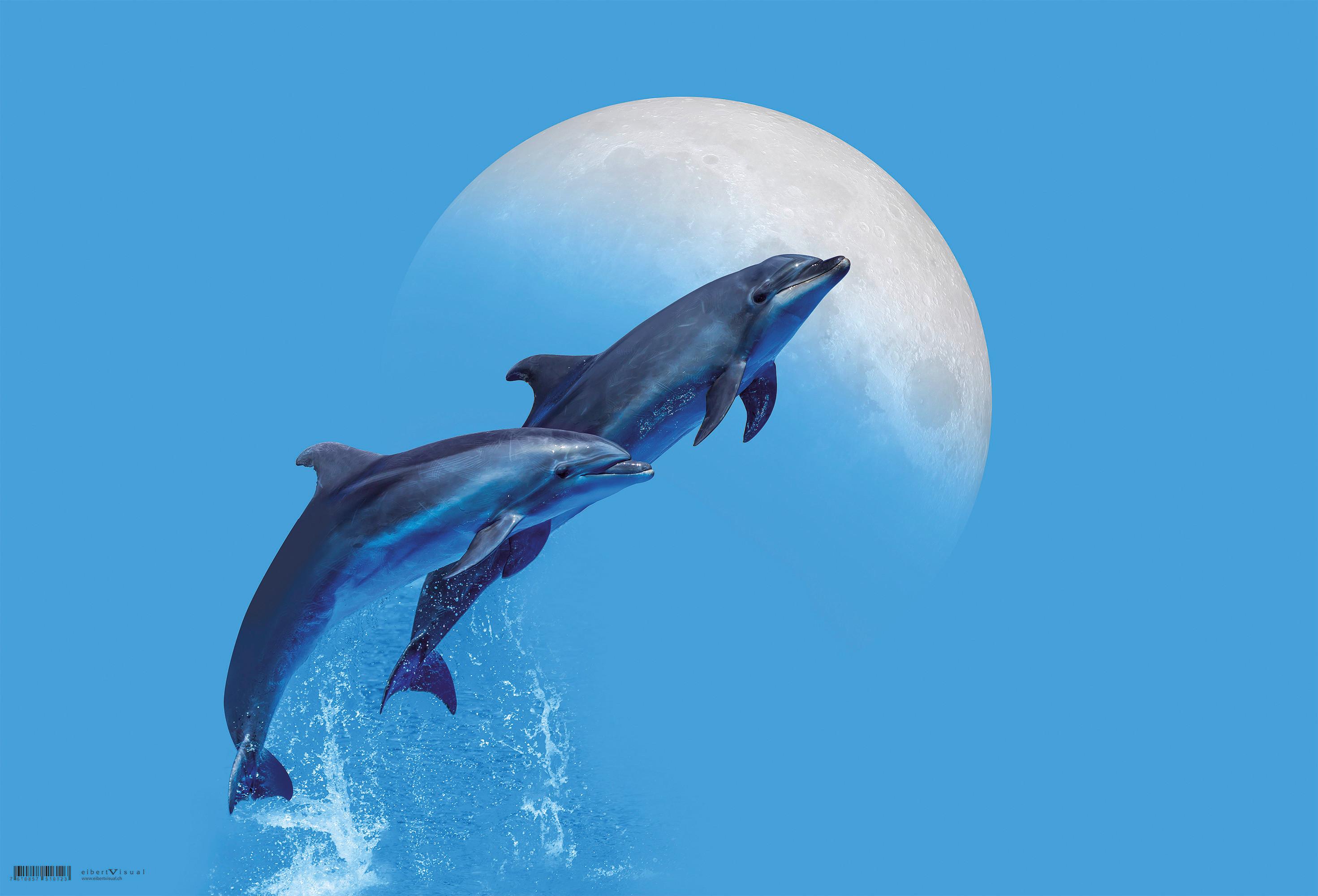 Schreibunterlage Dolphins ca. 60x40cm - Kunststoff (60/40cm)