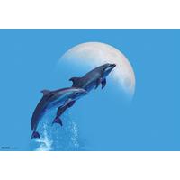 Schreibunterlage Dolphins ca. 60x40cm - Kunststoff (60/40cm)