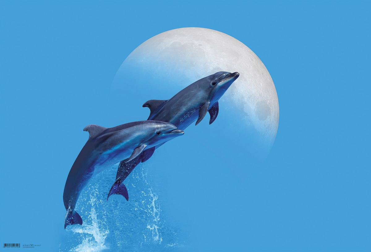 Schreibunterlage Dolphins ca. 60x40cm - Kunststoff (60/40cm)