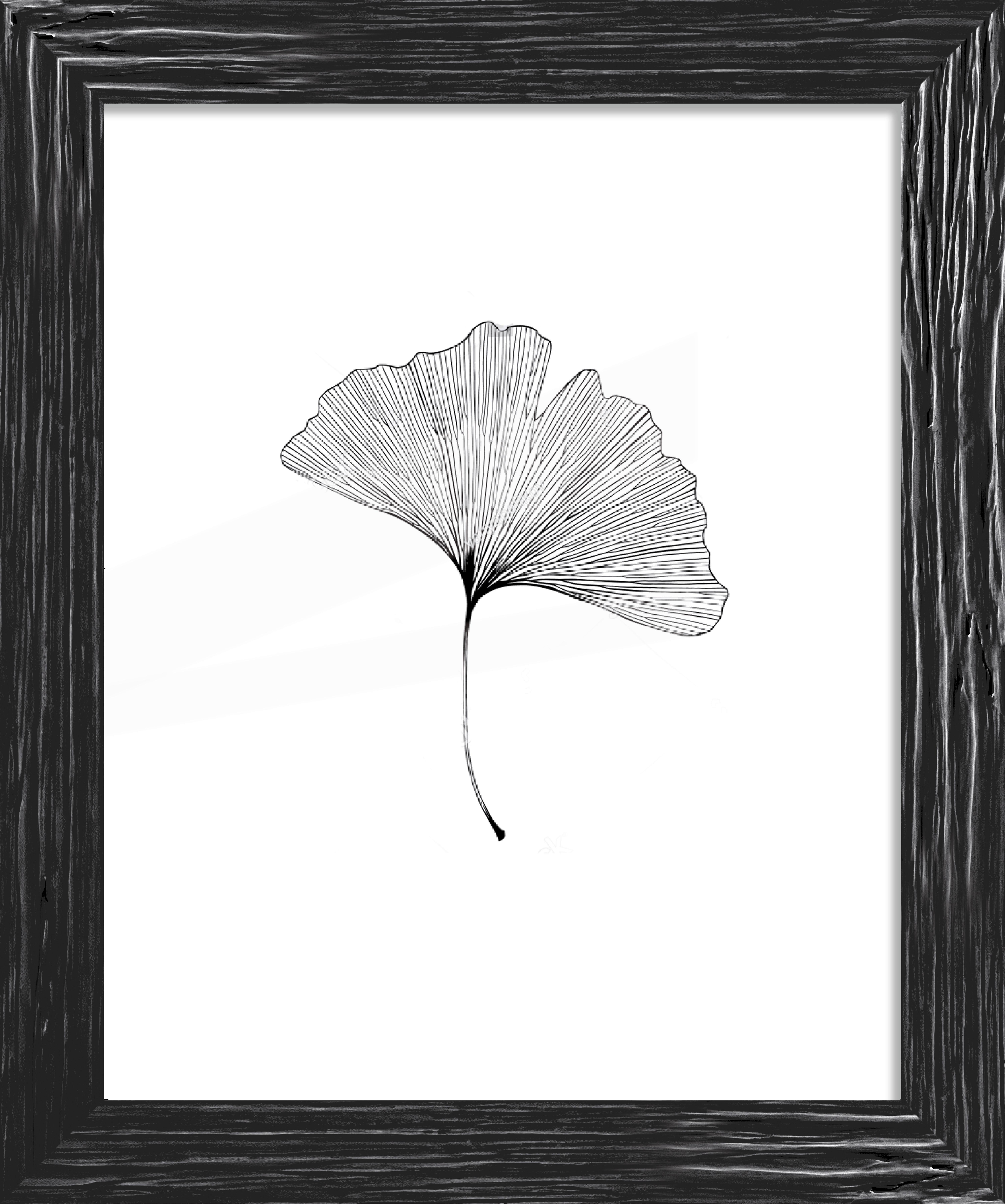 Okvir Za Slike Frido - črna, Romantika, les (45,7/55,7/1,3cm) - ecoTree
