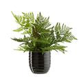 Ghiveci Decorativ Mood - gri, ceramică (12,5/13cm) - Modern Living Ghiveci Decorativ Mood - gri, ceramică (12,5/13cm) - Modern Living