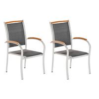 Set Vrtnih Stolov Siena, Siva, 2 Kos - srebrne barve/siva, Konvencionalno, kovina/tekstil (54/43/50,5cm) - Gardenson