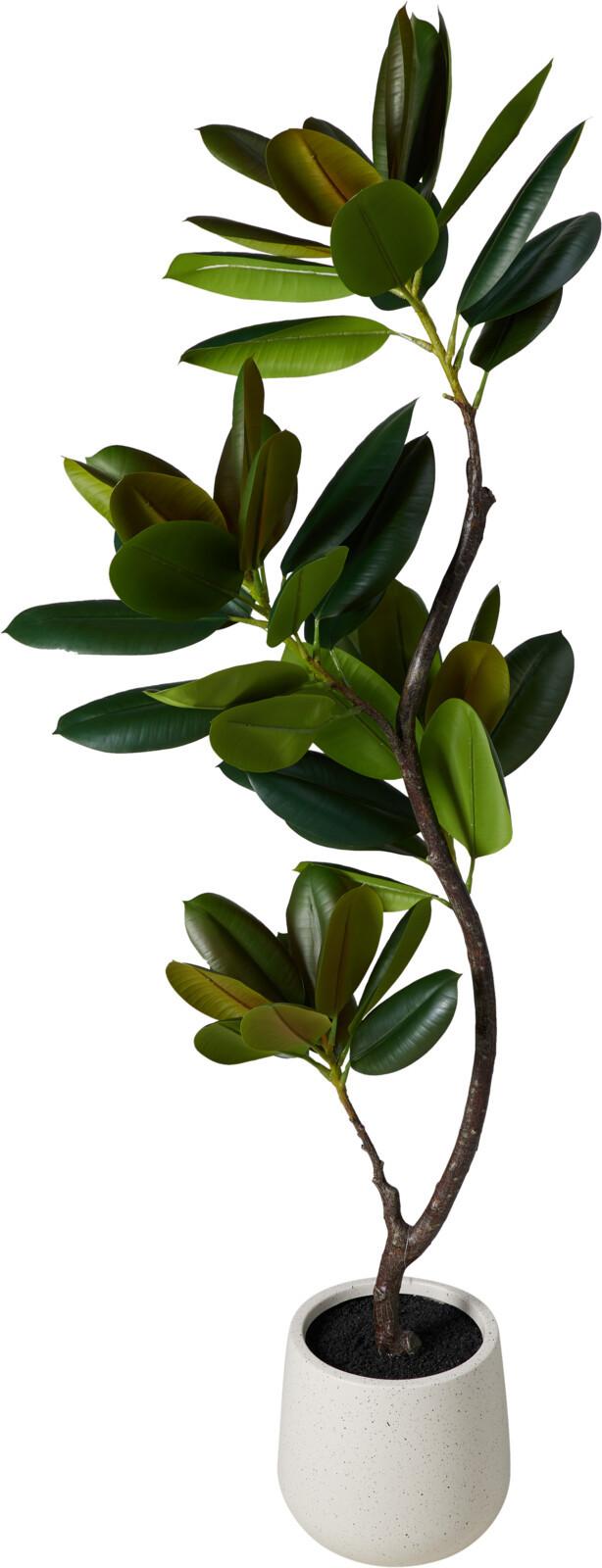Plantă artificială Gram Pio cca. 160 cm - Modern, plastic (70/50/160cm)