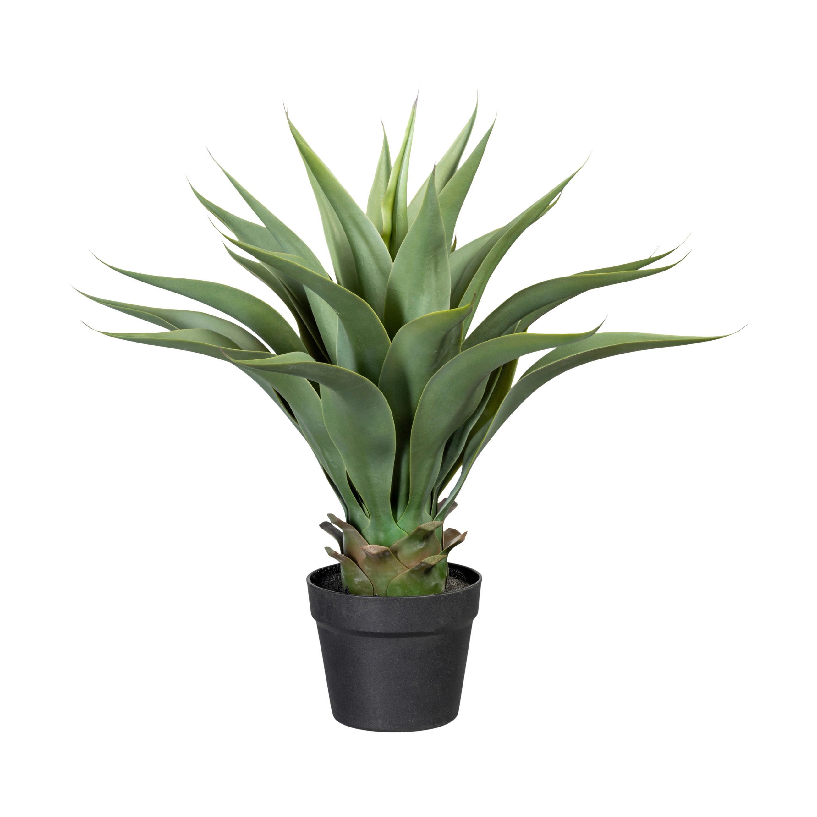 Kunstpflanze Sukkulenten Grau/Grün - Schwarz/Braun, Design, Kunststoff (57cm)