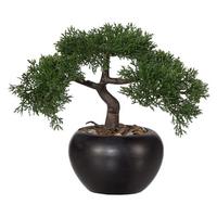 Kunstpflanze Bonsai I Grün - Schwarz/Braun, Basics, Keramik/Kunststoff (26cm) - Mömax