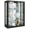 Hängevitrine Udina in Schwarz - Schwarz, MODERN, Glas/Holz (60/80/25cm) - MID.YOU