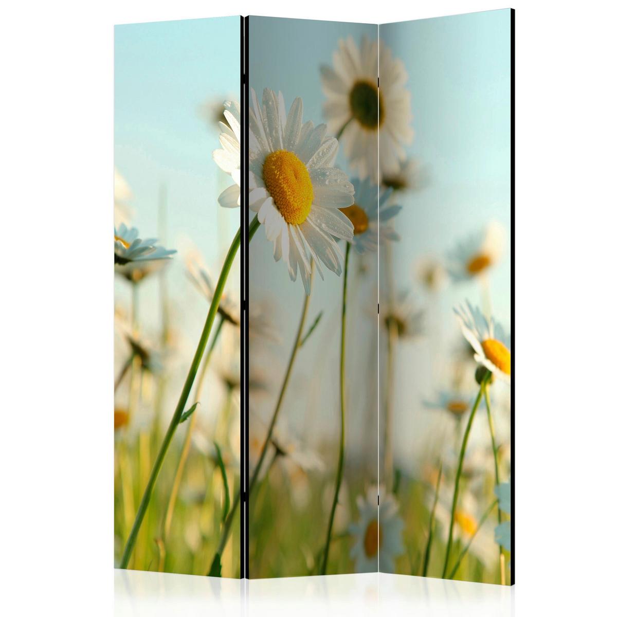 Paravan Daisies, 3-Delni, Dvostranski - pastelno modra/zelena, Basics, tekstil/les (135/172/3cm) - artgeist