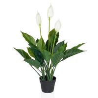 Umetna Rastlina Spathiphyllum - črna/zelena, Moderno, umetna masa (26/80/26cm) - MID.YOU