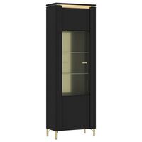 Vitrina Norica, Črna, Zlata - zlate barve/črna, Trend, kovina/steklo (65,5/201,2/40cm)