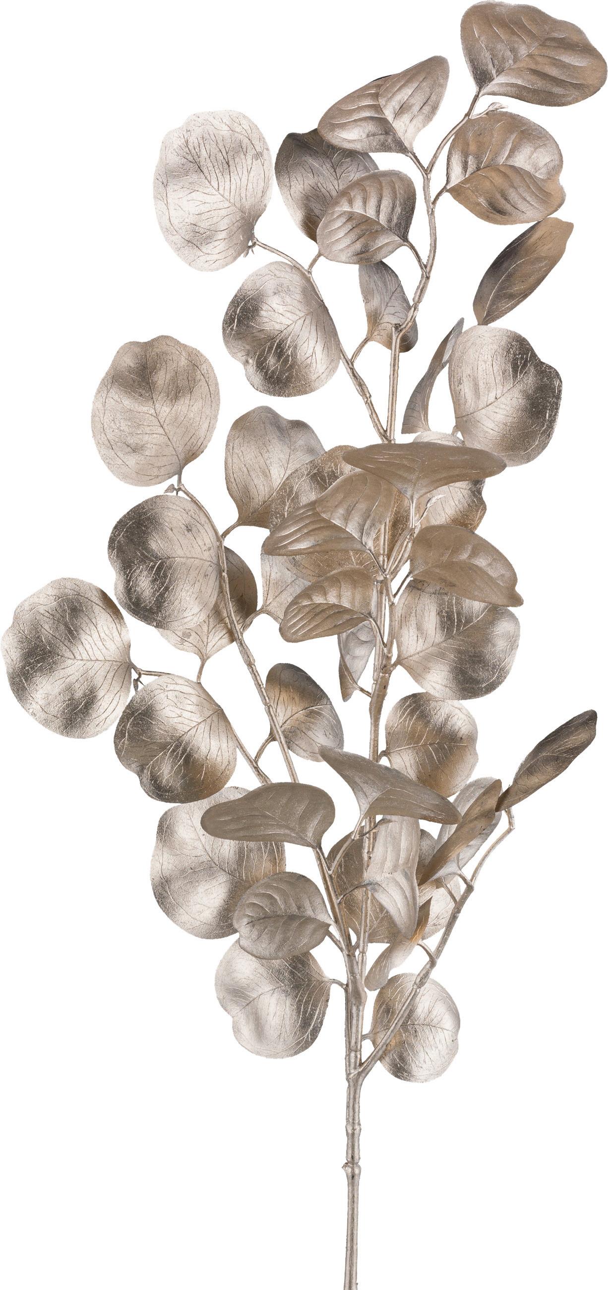 Okrasna Vejica Eukalyptuszweig I -Paz- - barve šampanjca, Konvencionalno, umetna masa (77cm) - Modern Living