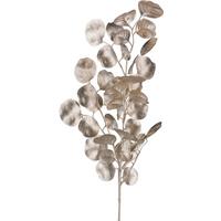 Dekozweig Eukalyptuszweig I Champagner - Champagner, KONVENTIONELL, Kunststoff (77cm) - Modern Living