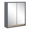 Spiegelschrank Massimo Dunkelgrau ca. 60x70x18 cm - Dunkelgrau/Silberfarben, MODERN, Glas (60/70/18cm) - Bessagi Home