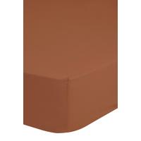 SPANNLEINTUCH EASY CARE - Terracotta, Basics, Textil (160/200cm) - MID.YOU